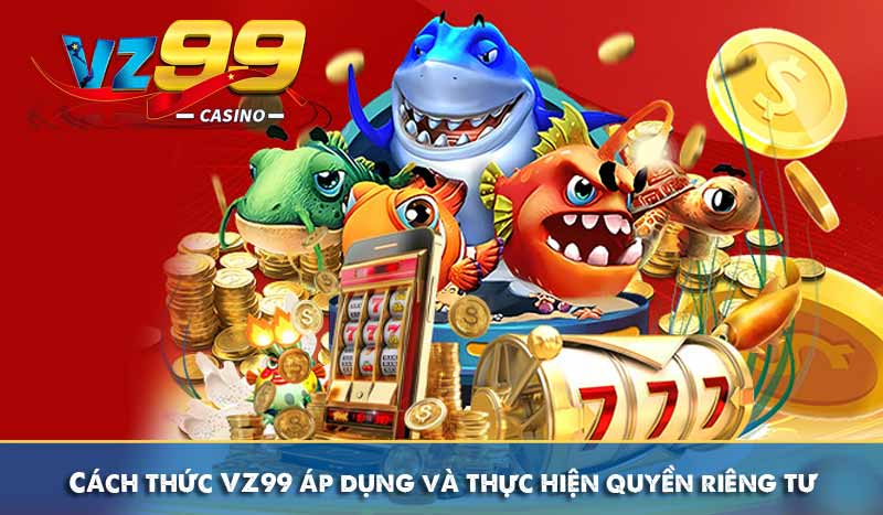 QUYỀN RIÊNG TƯ 62 Cách thức VZ99 áp dụng và thực hiện quyền riêng tư